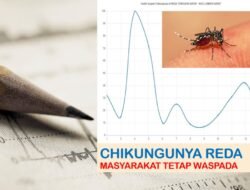 Chikungunya Reda, Masyarakat Tetap Diminta Waspadai Penularan Dengan Lakukan PSN Berkala