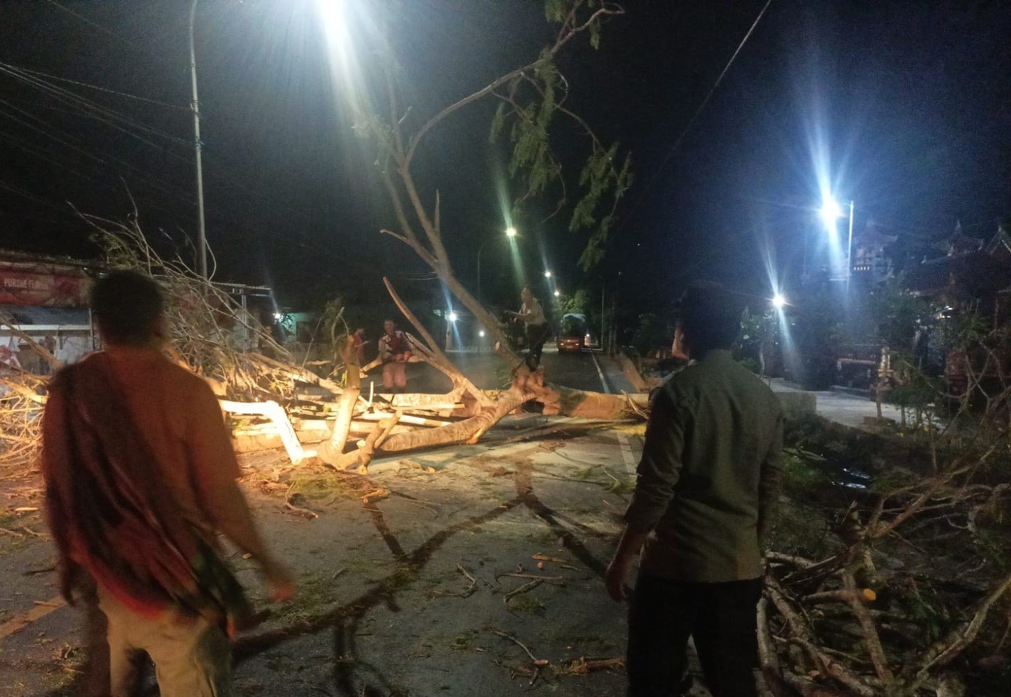 Polsek Lembar Evakuasi Pohon Tumbang, Kembali Normalkan Arus Lalu Lintas