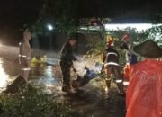 Bencana Pohon Tumbang dan Banjir Genangi Desa Tanjung: Upaya Tanggap Koramil 1606-02/Tanjung