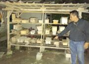 4 Bandit Madu Trigona Diringkus di Lombok Barat! 20 Kotak Koloni Lebah Raib