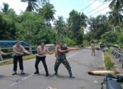TNI-Polri, dan Warga Sekotong Bersatu Padu Bersihkan Rumpun Bambu
