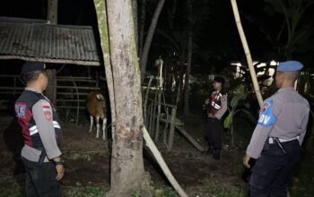 Polsek Sekotong Gelar Patroli Malam, Sasar Kandang Ternak dan Antisipasi 3C
