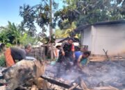 Babinsa Koramil 1606-06/Sekotong dan Warga Bersatu Padu Padamkan Api di Dusun Sepi