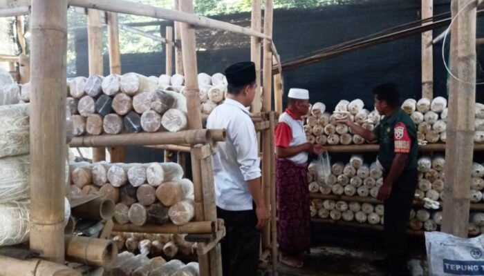 Pemdes dan Babinsa Dukung Budidaya Jamur Tiram Putih di Peteluan Indah