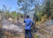 Babinsa dan Pemadam Kebakaran Lombok Barat Berjibaku Padamkan Api di Bukit Monto