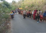 Tradisi Sasak Nyongkolan Momen Ceria di Desa Cendi Manik