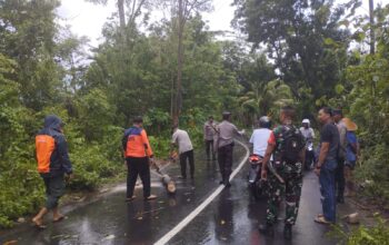 Waspada Cuaca Ekstrem: Polsek Gerung Koordinasi Cepat Tangani Pohon Tumbang