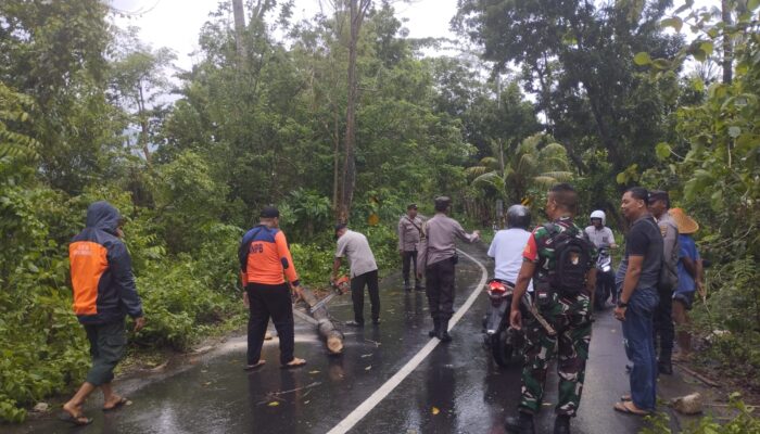 Waspada Cuaca Ekstrem: Polsek Gerung Koordinasi Cepat Tangani Pohon Tumbang