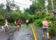 Bencana Puting Beliung di Batulayar: Warga Selamat, Rumah Rusak Berat