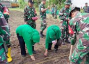 Kodim 1606/Mataram Tanam Jagung dan Terong untuk Ketahanan Pangan