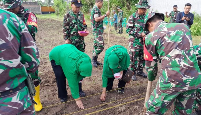 Kodim 1606/Mataram Tanam Jagung dan Terong untuk Ketahanan Pangan