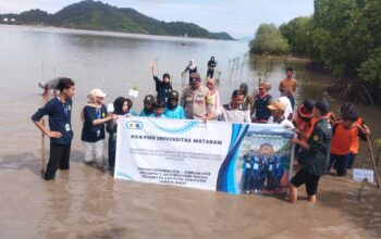 Aksi Nyata di Pesisir Sekotong: Bersih Pantai, Tanam Mangrove Demi Masa Depan