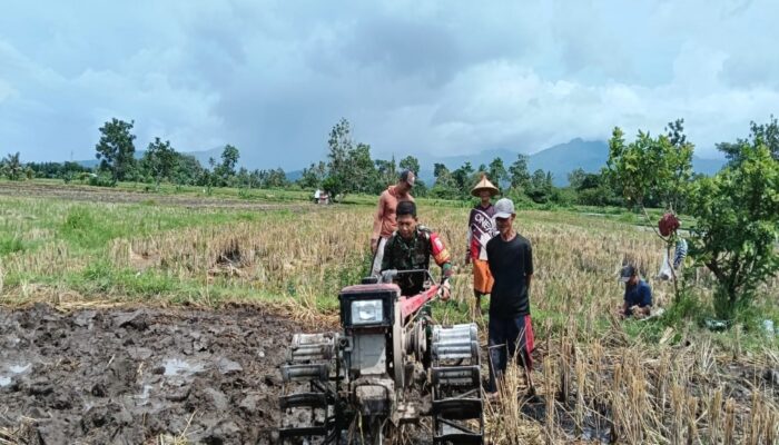 Upaya Perluasan Sawah di Mapak Belatung, Babinsa Turun Tangan 