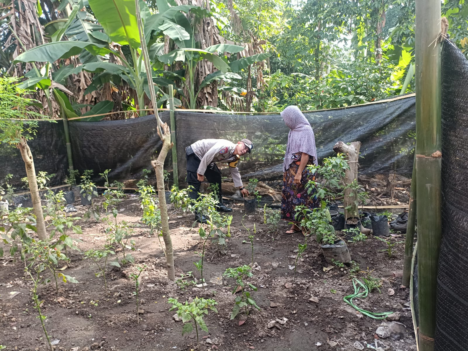 Sinergi Polri dan Masyarakat: Bhabinkamtibmas Babussalam Gerakkan Ketahanan Pangan Lokal