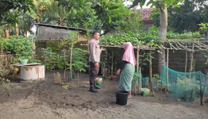 Inspiratif! Bhabinkamtibmas Labuapi Ajak Warga Maksimalkan Lahan Pertanian