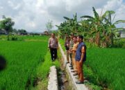 Karang Bongkot Punya Potensi! Lahan Kosong Siap Digarap Petani