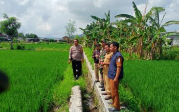 Karang Bongkot Punya Potensi! Lahan Kosong Siap Digarap Petani