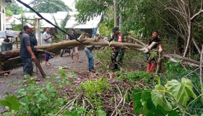 Babinsa dan Warga Segara Katon Gotong Royong Bersihkan Pohon Tumbang