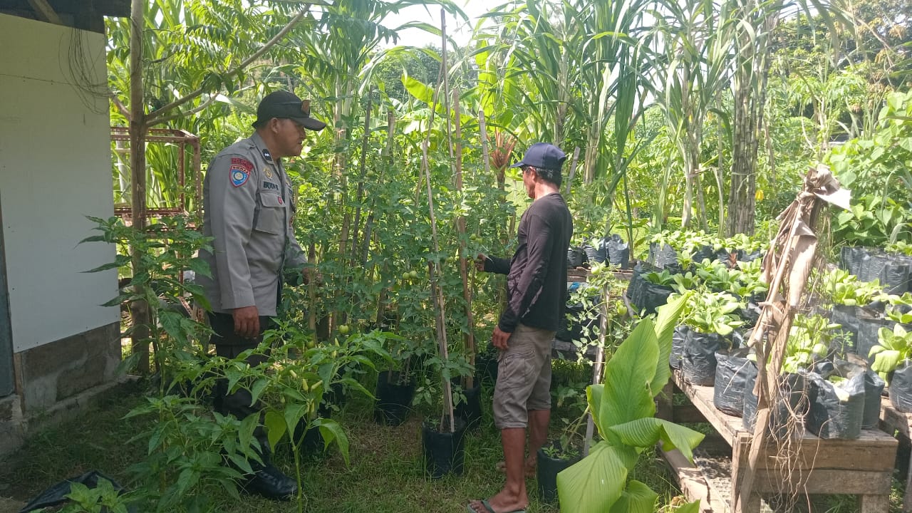 Ketahanan Pangan Kuat: Inisiatif Lahan Bergizi di Lombok Barat