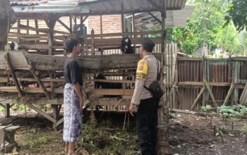 Kapolsek Kediri Edukasi Peternak Kambing, Dukung Ketahanan Pangan 2045