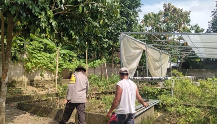 Bhabinkamtibmas Dukung Ketahanan Pangan dengan Ekobrik di Lembahsari