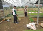 Inspiratif! Bhabinkamtibmas di Lombok Barat Sosialisasi Ketahanan Pangan Lewat Pekarangan Rumah