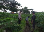 Polisi Sambangi Petani Jagaraga, Dorong Optimalisasi Lahan