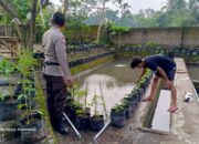 Inisiatif Polsek Kuripan: DDS dan Edukasi Ketahanan Pangan untuk Pemuda