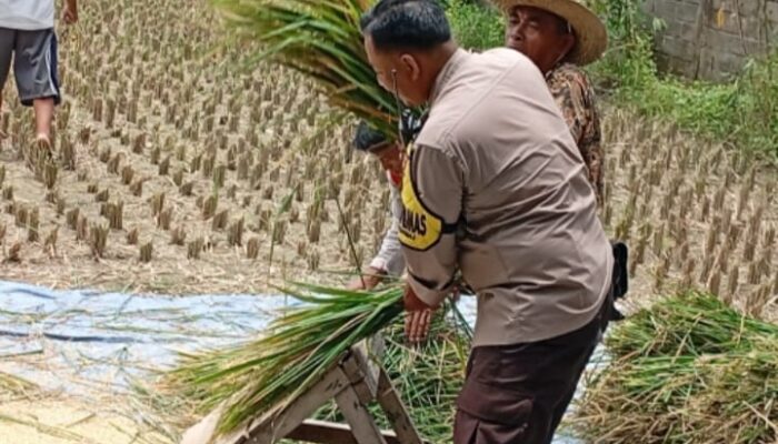 Bhabinkamtibmas Merembu Edukasi Warga Soal Ketahanan Pangan