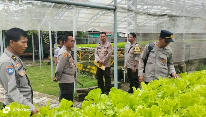 P2B di Labuapi: Kolaborasi Polisi, Pemuda Tani, dan Yayasan Pendidikan Tingkatkan Gizi Masyarakat