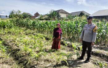 Sinergi Polri dan Petani, Lahan Kosong Jadi Lumbung Pangan di Labuapi