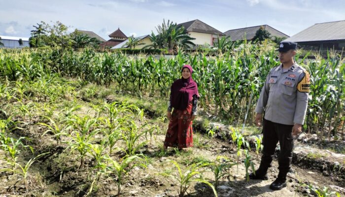 Kapolsek Labuapi Ajak Petani Maksimalkan Lahan untuk Ketahanan Pangan