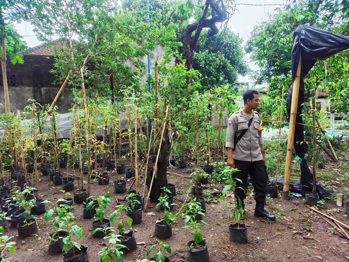 Warga Bengkel Sulap Pekarangan Jadi Sumber Pangan Bergizi