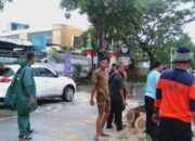 Pohon Tumbang di Mataram, Babinsa dan Tim Gabungan Bergerak Cepat