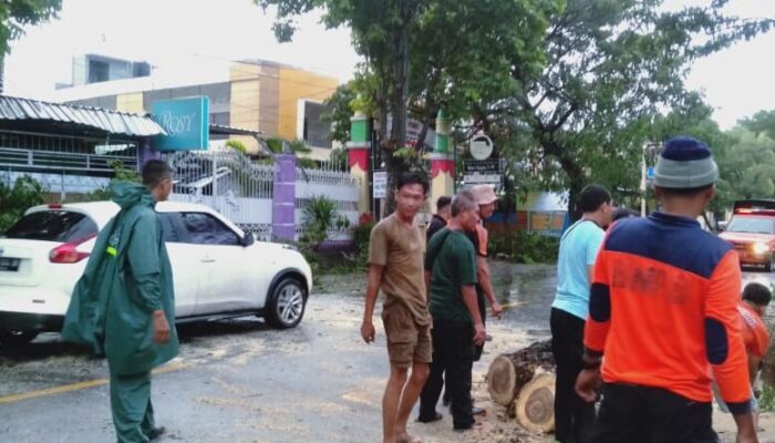 Pohon Tumbang di Mataram, Babinsa dan Tim Gabungan Bergerak Cepat