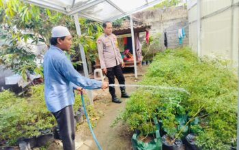 Bhabinkamtibmas Bajur Gerakkan Warga Manfaatkan Pekarangan Rumah untuk Ketahanan Pangan