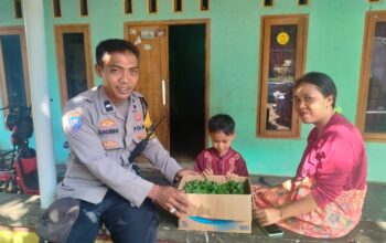 Bhabinkamtibmas Desa Eyat Mayang Salurkan Bibit Cabai, Dukung Ketahanan Pangan Warga