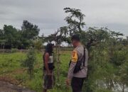 Bhabinkamtibmas Dukung Ketahanan Pangan, Warga Kuranji Dalang Termotivasi