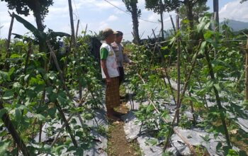 Bhabinkamtibmas Jagaraga Dorong Warga Tanam Sayur di Pekarangan Rumah