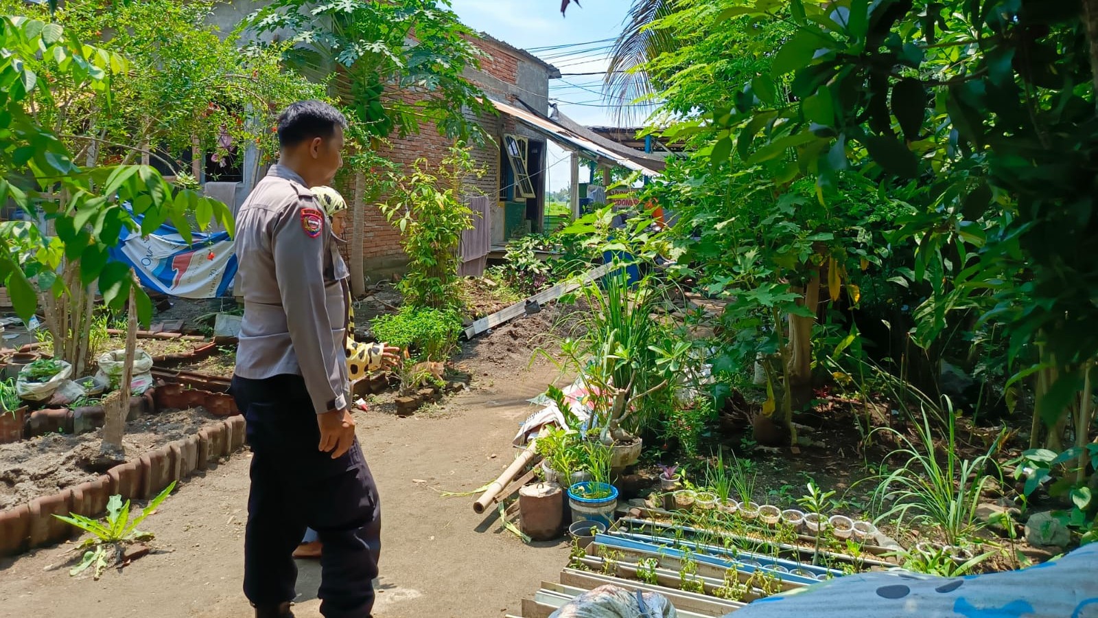 Bhabinkamtibmas Labuapi Gencar Sosialisasi Pekarangan Bergizi, Wujudkan Ketahanan Pangan Masyarakat