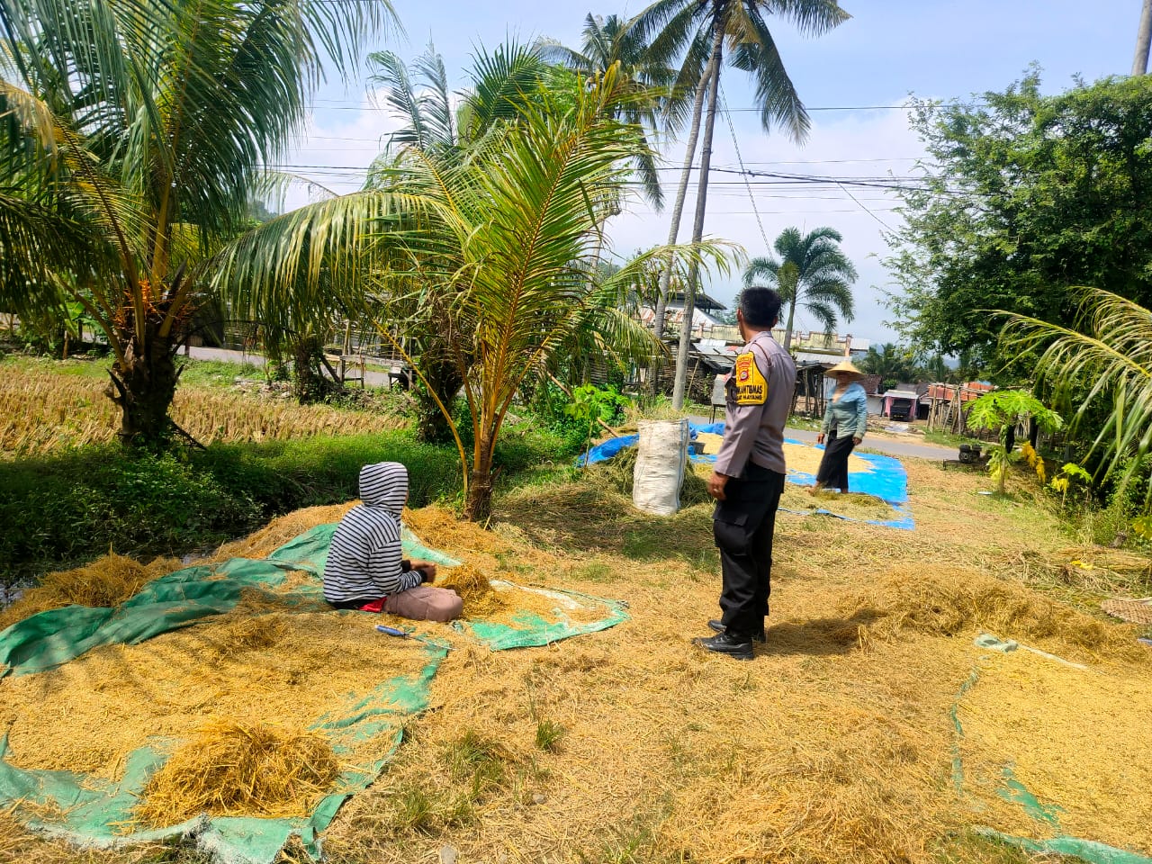 Lombok Barat, NTB – Kapolsek Kediri, AKP Jahyadi Sibawaih, S.H., memimpin langsung kegiatan ibadah Salat Tarawih keliling bersama personel Polsek Kediri di Masjid Kembar Menara Tunggal, Desa Banyumulek, Kecamatan Kediri, Kabupaten Lombok Barat, pada Selasa malam (25/3/2025). Kegiatan ini merupakan bagian dari program Polres Lombok Barat dalam rangka mempererat sinergi antara Polri dan masyarakat menyambut datangnya Bulan Suci Ramadhan 1446 Hijriyah. Kegiatan ibadah yang dimulai pukul 20.00 WITA ini diawali dengan Salat Isya berjamaah, yang kemudian dilanjutkan dengan Salat Tarawih yang dipimpin oleh Ustaz Hardian. Kehadiran anggota kepolisian di tengah-tengah masyarakat ini bertujuan untuk memberikan rasa aman dan nyaman bagi umat Islam yang sedang menjalankan ibadah puasa. Meningkatkan Keamanan dan Kenyamanan Masyarakat Ditemui usai kegiatan, Kapolsek Kediri, AKP Jahyadi Sibawaih, S.H., menyampaikan bahwa kegiatan Tarawih keliling ini merupakan wujud nyata kehadiran Polri di tengah masyarakat, khususnya dalam momen penting seperti Bulan Ramadhan. “Kami dari Polsek Kediri bersama Polres Lombok Barat memiliki program untuk melaksanakan Tarawih keliling di berbagai masjid di wilayah hukum kami. Malam ini, kami berkesempatan untuk melaksanakan ibadah di Masjid Kembar Menara Tunggal Banyumulek. Tujuan utama kami adalah untuk mendekatkan diri dengan masyarakat, memberikan rasa aman dan nyaman saat mereka beribadah, serta mempererat tali silaturahmi,” ujar AKP Jahyadi. Program Sinergi Polri dan Masyarakat Lebih lanjut, AKP Jahyadi menjelaskan bahwa kegiatan ini merupakan implementasi dari program Polres Lombok Barat yang menekankan pentingnya sinergi antara Polri dan masyarakat. Menurutnya, keamanan dan ketertiban masyarakat tidak dapat terwujud tanpa adanya dukungan dan kerjasama yang baik dari seluruh elemen masyarakat. “Kami berharap dengan kehadiran kami di sini, masyarakat merasa lebih tenang dan khusyuk dalam menjalankan ibadah. Selain itu, ini juga menjadi sarana bagi kami untuk mendengar langsung aspirasi dan keluhan dari masyarakat terkait keamanan dan ketertiban di lingkungan mereka,” imbuhnya. Respon Positif dari Masyarakat Kegiatan Tarawih keliling yang dilaksanakan oleh Kapolsek Kediri dan personel Polsek Kediri ini mendapatkan respon positif dari masyarakat Desa Banyumulek. Mereka merasa senang dan mengapresiasi kehadiran pihak kepolisian yang turut serta dalam kegiatan keagamaan. Ustaz Hardian, imam Salat Tarawih pada malam itu, menyampaikan rasa terima kasihnya atas kehadiran Kapolsek dan jajaran Polsek Kediri. Menurutnya, kehadiran polisi dalam kegiatan ibadah ini memberikan dampak positif bagi masyarakat. “Kami sangat berterima kasih atas kehadiran Bapak Kapolsek dan anggota polisi lainnya. Ini menunjukkan bahwa polisi tidak hanya bertugas menjaga keamanan, tetapi juga peduli terhadap kegiatan keagamaan masyarakat. Kami merasa lebih aman dan nyaman dalam menjalankan ibadah,” kata Ustaz Hardian. Kegiatan ibadah Salat Tarawih keliling di Masjid Kembar Menara Tunggal Desa Banyumulek ini berjalan dengan aman dan lancar hingga berakhir pada pukul 21.05 WITA. Diharapkan, kegiatan serupa dapat terus dilaksanakan untuk mempererat hubungan antara Polri dan masyarakat serta menciptakan suasana yang kondusif selama Bulan Suci Ramadhan.