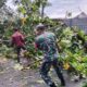 Pohon Tumbang Tutup Jalan, Babinsa Gerak Cepat Bersihkan Lokasi