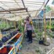 Bhabinkamtibmas Desa Bajur Ajak Warga Manfaatkan Lahan Pekarangan untuk Ketahanan Pangan