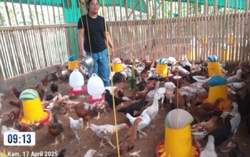 Bhabinkamtibmas Kuripan Aktif Sosialisasi Ketahanan Pangan ke Peternak Ayam