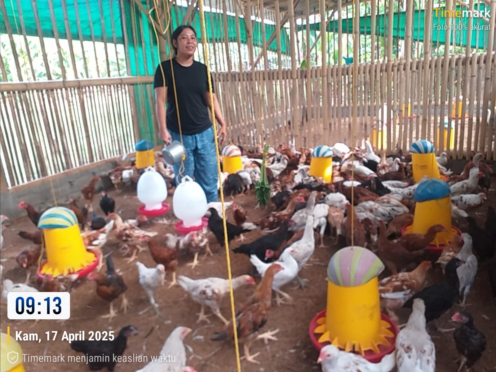 Bhabinkamtibmas Kuripan Aktif Sosialisasi Ketahanan Pangan ke Peternak Ayam