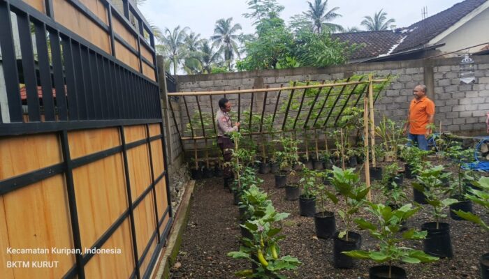 Warga Desa Kuripan Utara Diajak Manfaatkan Lahan, Ketahanan Pangan Diperkuat