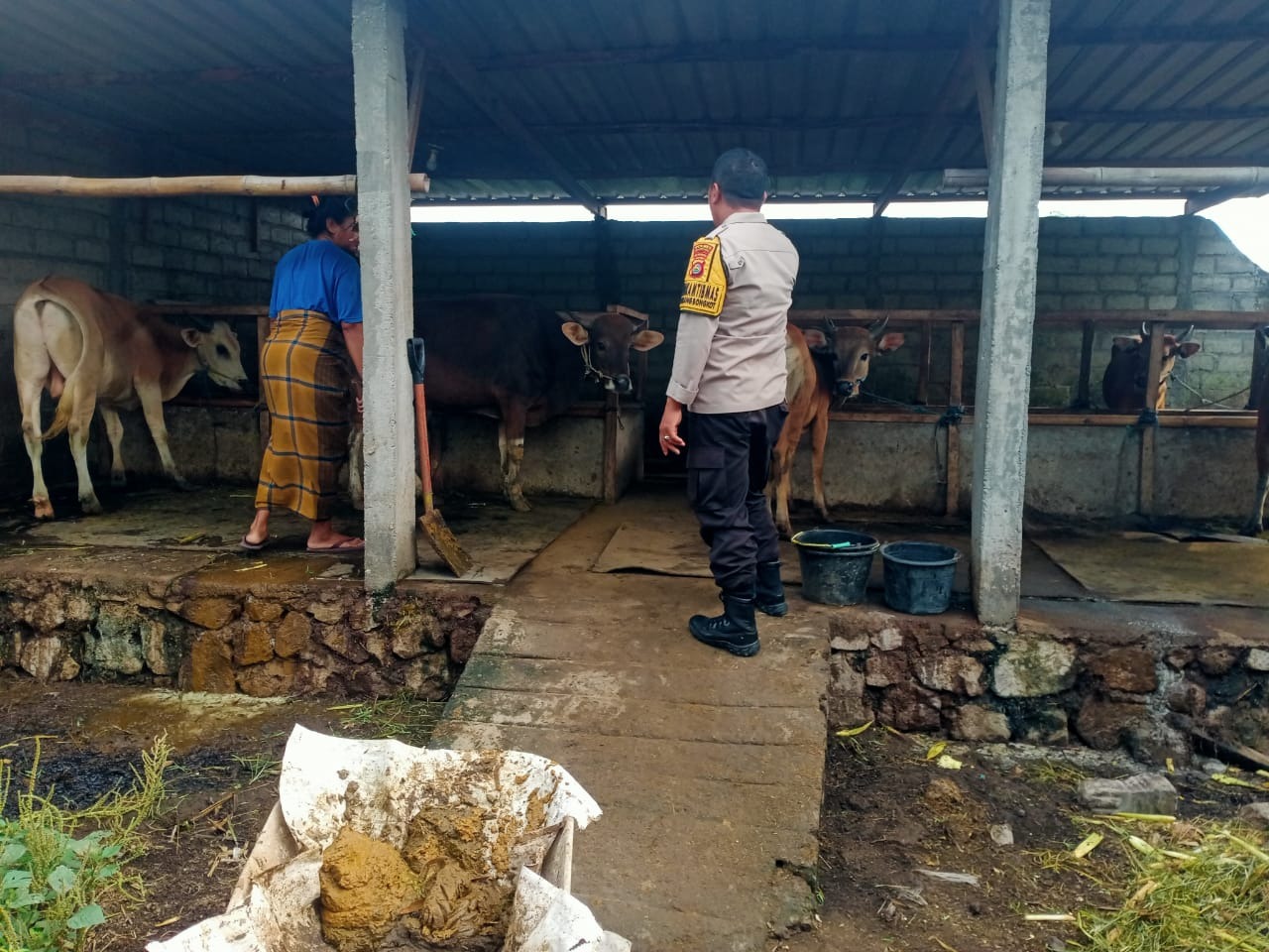 Dekatkan Diri ke Warga, Bhabinkamtibmas Dorong Usaha Ternak