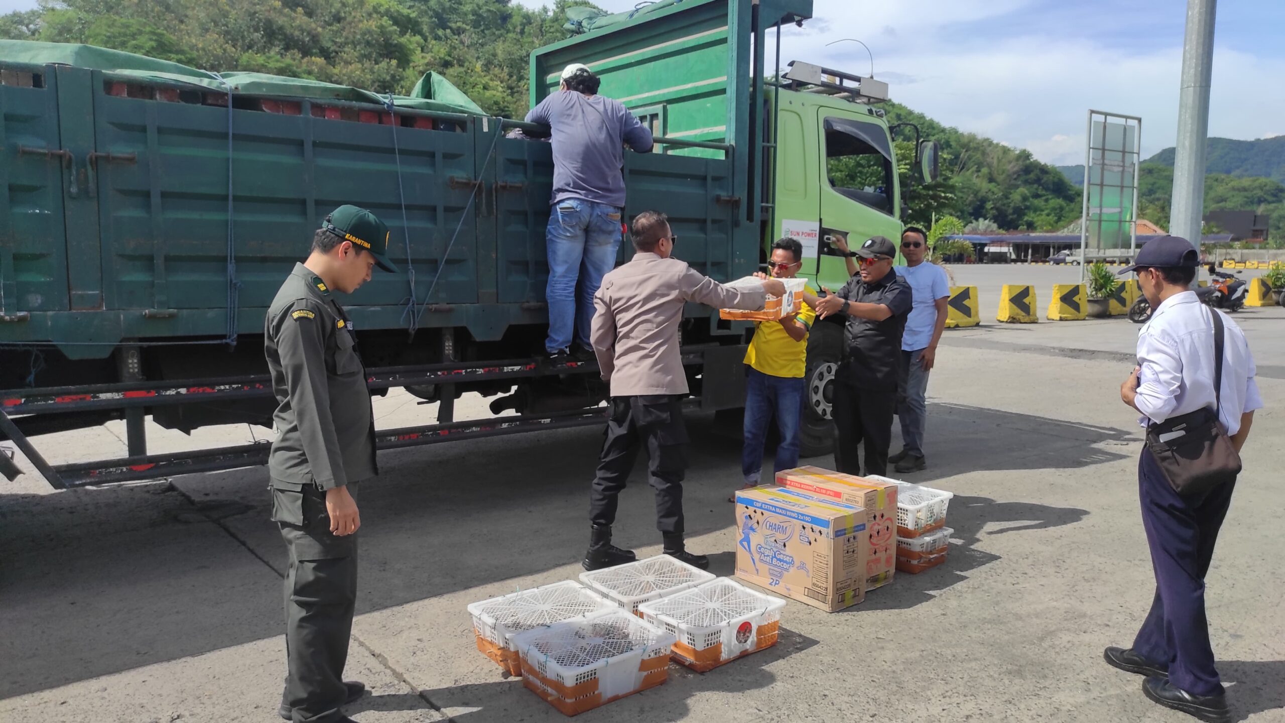 Truk Bermuatan Burung Tanpa Izin Dicegat Menuju Bali di Lombok Barat
