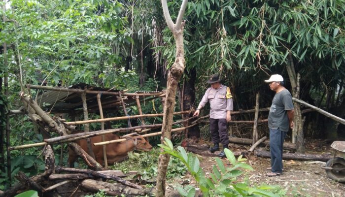 Bhabinkamtibmas Batulayar Edukasi Warga Soal Pekarangan Produktif