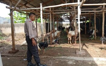 Sinergi Polri dan Warga Wujudkan Ketahanan Pangan Berkelanjutan